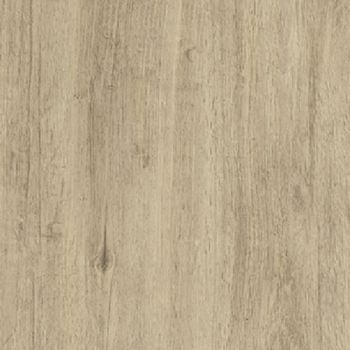 FIL MEL.X10ML CAJU 22PREEN