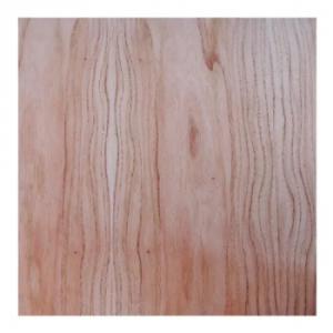 ENCHAP PARAISO 18MM AGLO