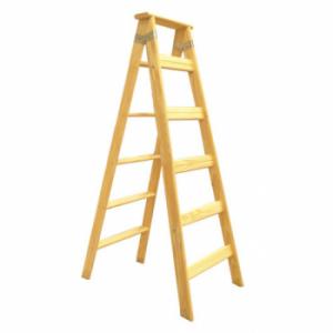 ESCALE PINT SALIGNA 5ESC