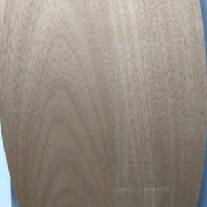 CHAPAS PREENCOLADAS X ML. CEDRO