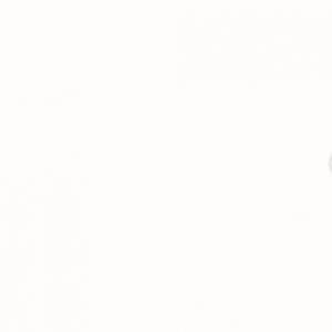 FIL MEL.X10ML 2110-EVEREST 22PREEN