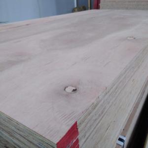 FENOL. 18MM 3/3 GRANDIS